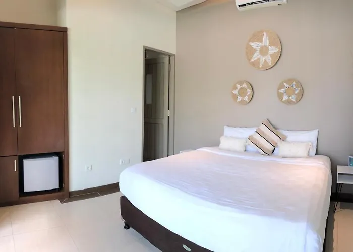 Pronoia - - Bali ホテル ジンバラン